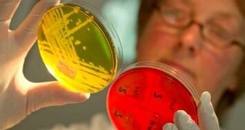 диагностика на паразити в тялото